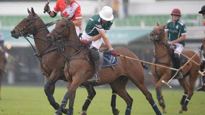 Polo firm challenges refusal of work permit for Argentinian man