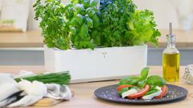 Tech Tools: Veritable Smart Garden takes all the heavy lifting out of plant care