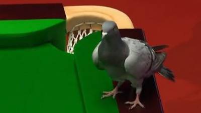 Pigeon interrupts World Championship as Mark Williams is in flying form
