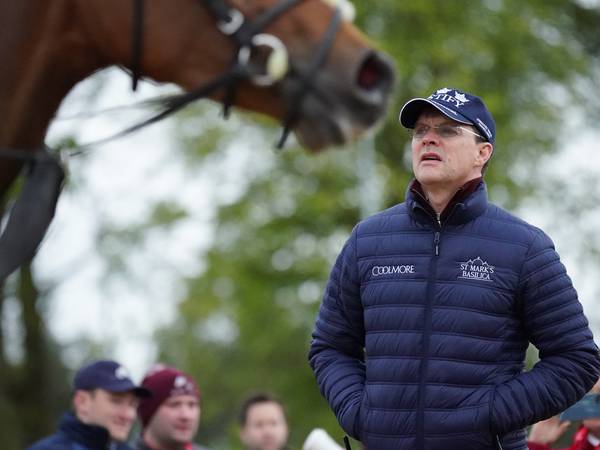 Coolmore and horse trainer Aidan O’Brien sue Glanbia over contaminated feed