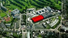 Green Ministers urged to stall National Maternity Hospital plans
