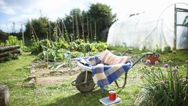 Ease your way into the gardening year – here’s how