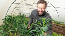 Organic vegetables: ‘It’s not just the middle class who care about local food’