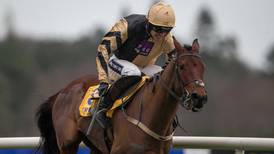 Nichols Canyon poised to defend his Ryanair Hurdle crown