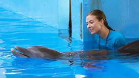 Dolphin Tale 2 review: that sinking feeling is back