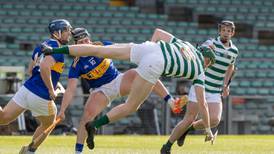 Limerick respond with nerveless self-belief to draw with Tipperary