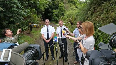 Killer of Dublin man may have been disturbed at secluded location