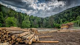 Environmentalists and timber industry at loggerheads over licence appeals