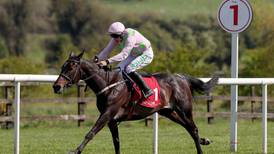 Benie Des Dieux secures French Champion Hurdle for Willie Mullins