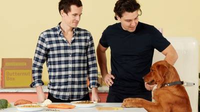 Irish co-founded dog food subscription Butternut Box enters local market