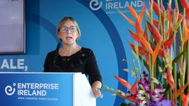 Government gives go ahead for €12m fund to help enterprise centres