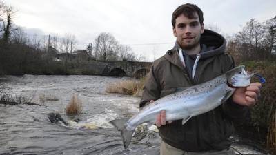 And on the seventh day . . . the first salmon of 2014 is landed at Leitrim