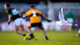 Nemo Rangers score all 2-17 from play in demolition of Austin Stacks
