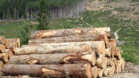 Backlog of complaints stalling timber production for homebuilding