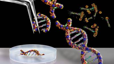 Why gene editing is decade’s most significant innovation