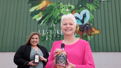 Louth distillery owner raffles 5% stake in her €1.7m gin business