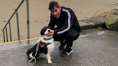 Dog-owners bite back at beach rules
