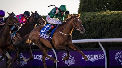 Tarnawa set to be Irish Breeders’ Cup banker in bid for back-to-back titles