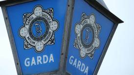 Children removed from parents for safety left sleeping in Garda stations – study