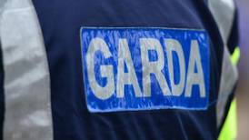 Sergeant saw no garda attacks during protest, High Court hears