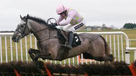 Ballycasey one of just four runners for Gold Cup