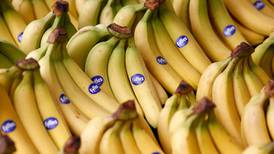 Fyffes opens banana ripening centre in Dublin