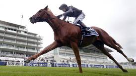 Magical may lead O’Brien’s three-pronged assault on Ascot