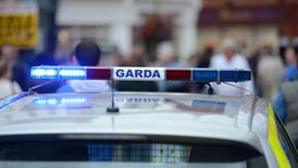 Stolen car with guns inside was to be used in gang murder – gardaí