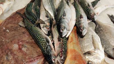 State regulation of mackerel fishery under audit by European Commission