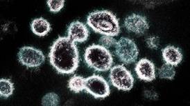 How coronavirus short-circuits the immune system
