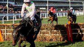 Benie Des Dieux can end Willie Mullins' season on another high