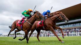 Horse Racing Ireland hoping for increased capacity pilot events