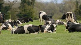 No cull of national herd to meet climate change targets, Varadkar insists