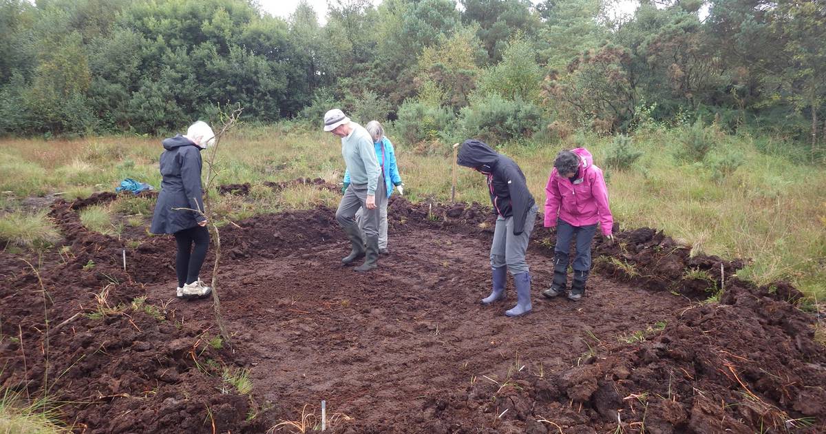 A Dutch expert: ‘Irish bogs are extraordinarily valuable’