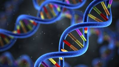 Genuity says Irish DNA database will still be managed locally after sale