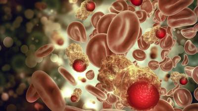 Cancer killer cell group has two shots at success