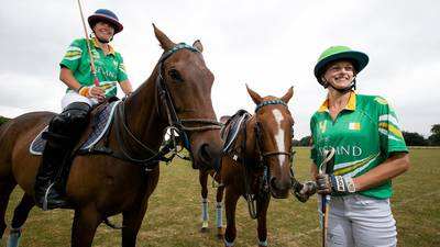 Polo provides opportunity for Irish racehorse trainers