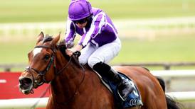 Magical tops the betting for Leopardstown’s Irish Champion Stakes