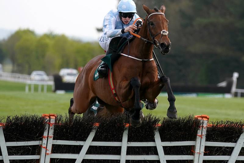 Constitution Hill given record rating for a novice hurdler
