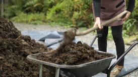 Mulch: the great garden cure-all